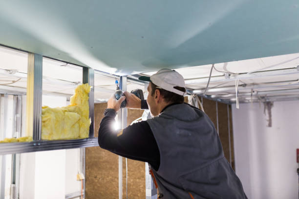 Best Insulation Installation Services in Mount Olive, IL