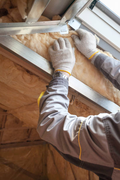 Best Insulation Installation Services in Mount Olive, IL