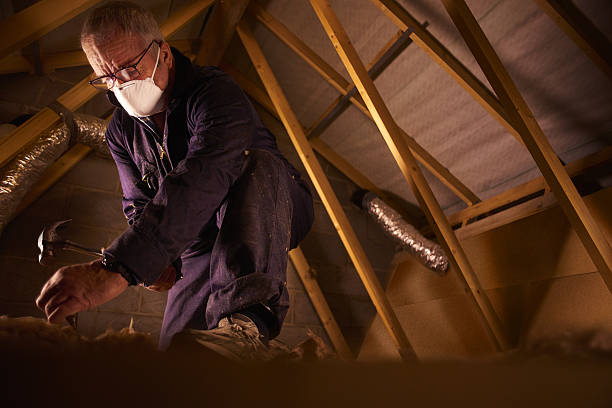 Best Commercial Insulation in Mount Olive, IL